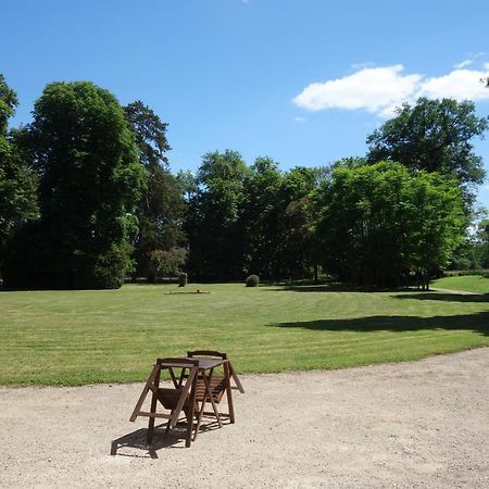 Chateau D'Island Vezelay Pontaubert Eksteriør billede