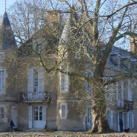 Chateau D'Island Vezelay Pontaubert Eksteriør billede