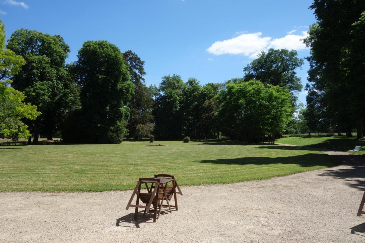 Chateau D'Island Vezelay Pontaubert Eksteriør billede