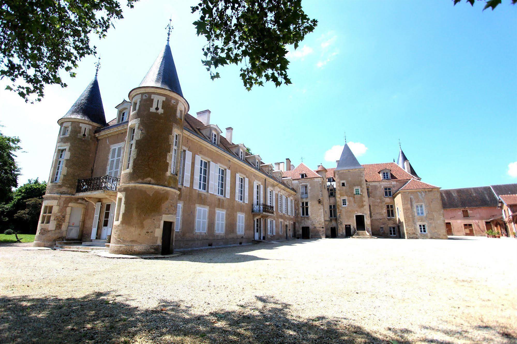 Chateau D'Island Vezelay Pontaubert Eksteriør billede