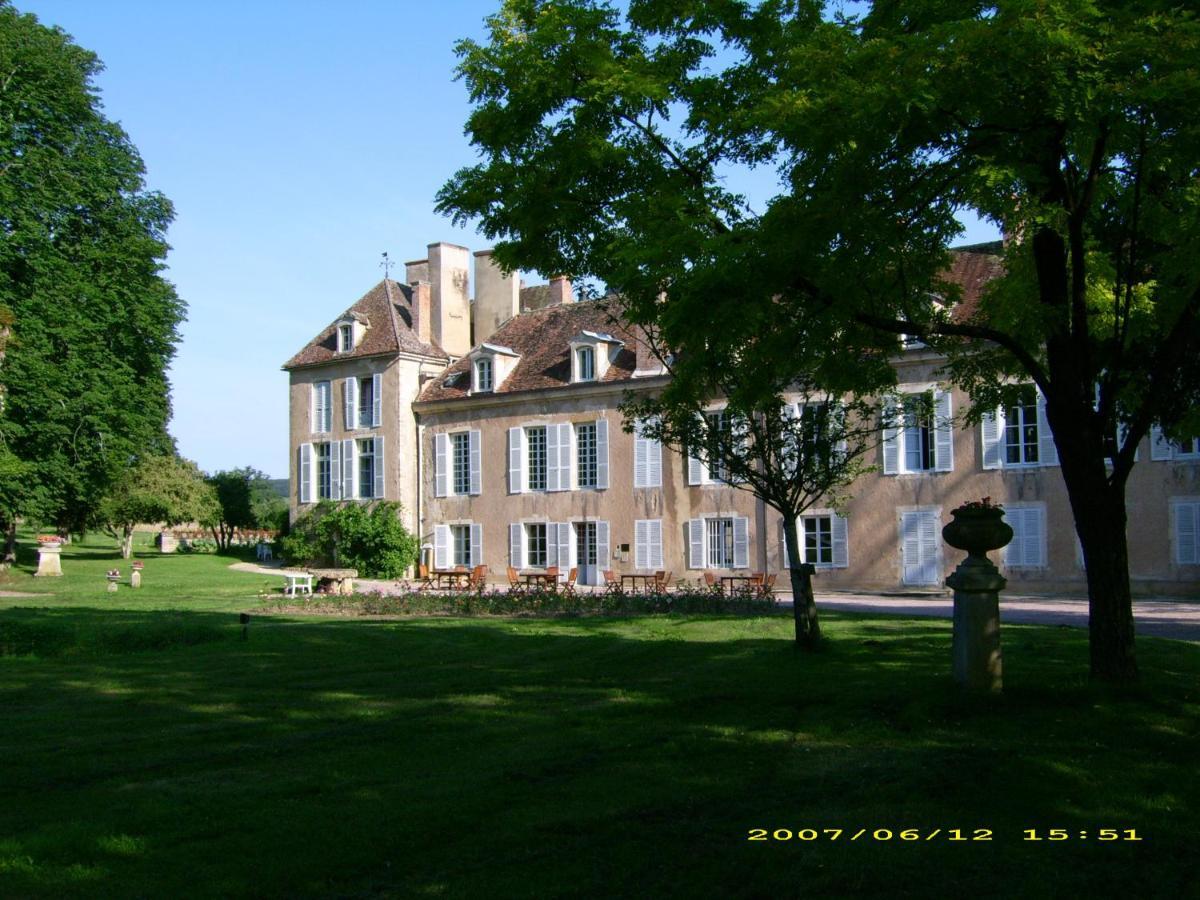 Chateau D'Island Vezelay Pontaubert Eksteriør billede