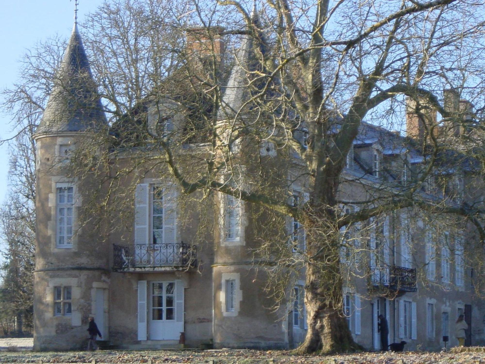 Chateau D'Island Vezelay Pontaubert Eksteriør billede