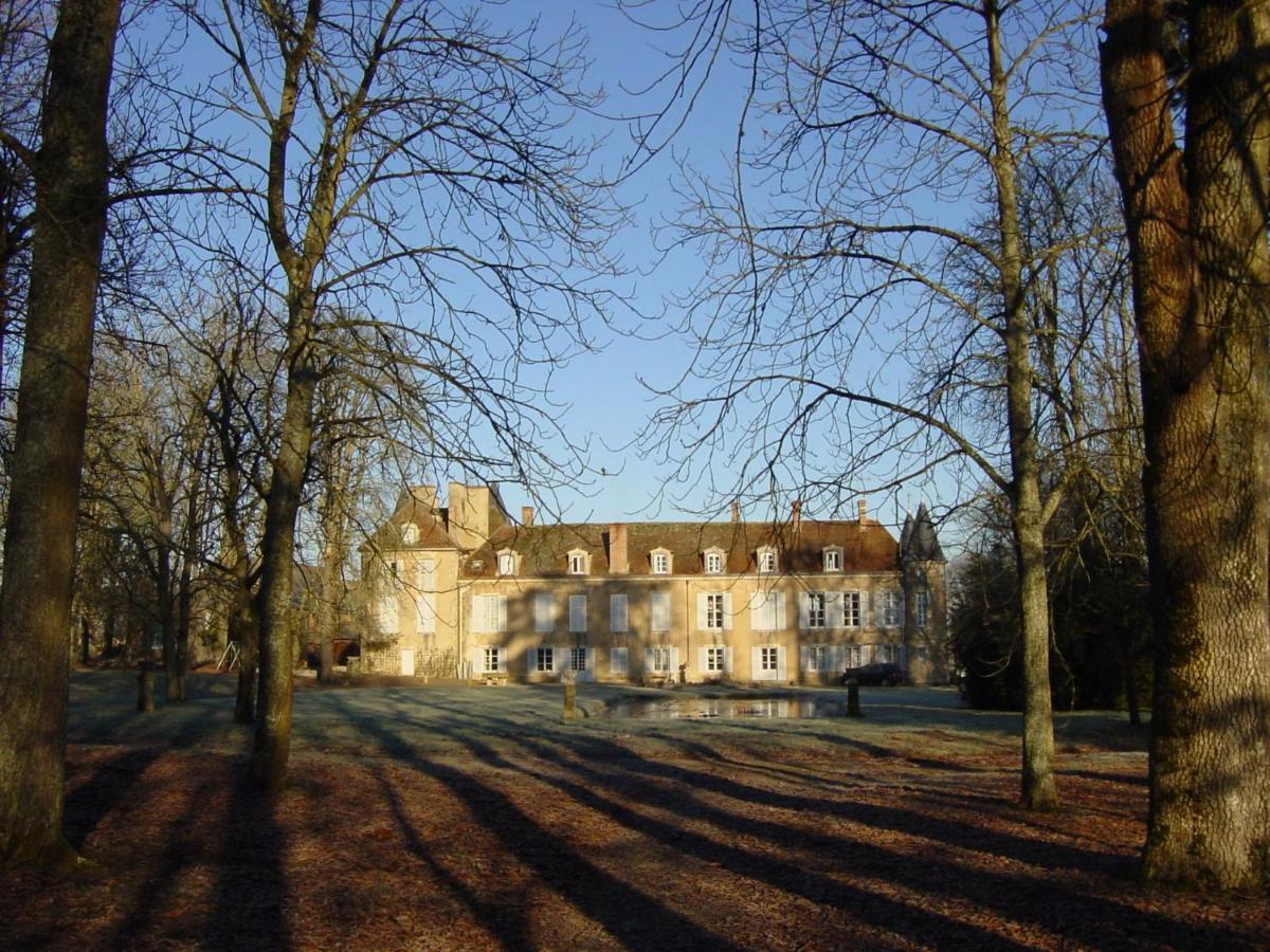 Chateau D'Island Vezelay Pontaubert Eksteriør billede