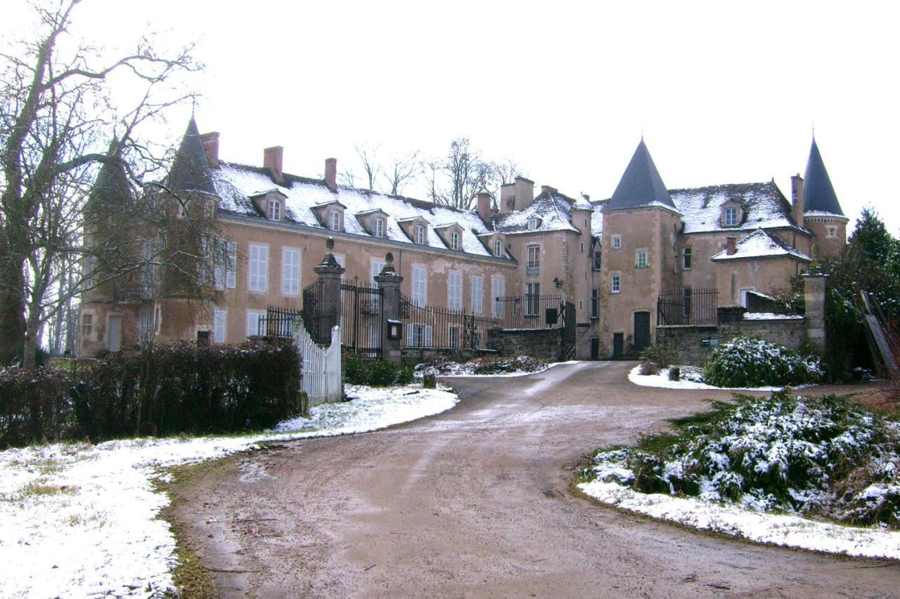 Chateau D'Island Vezelay Pontaubert Eksteriør billede