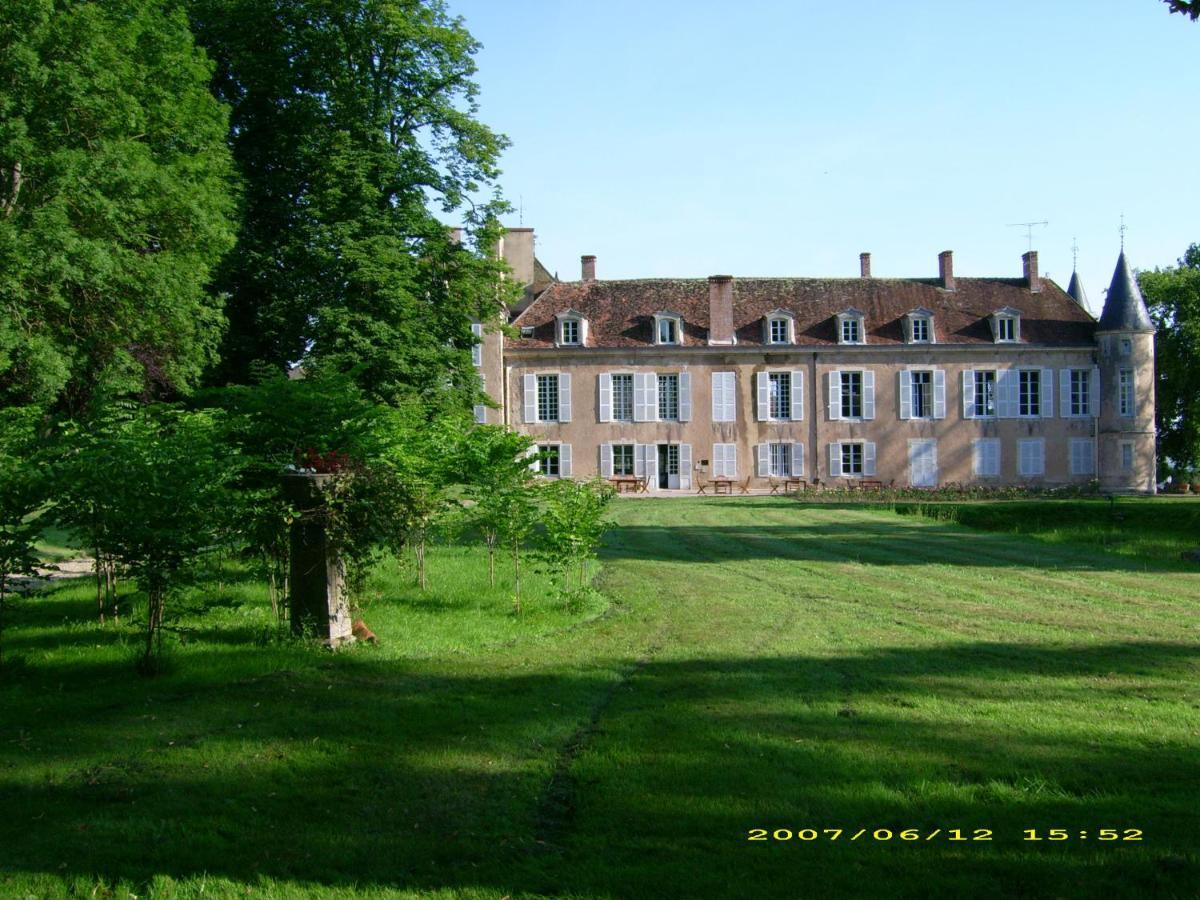 Chateau D'Island Vezelay Pontaubert Eksteriør billede